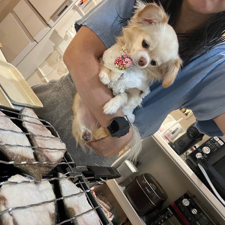 57a0a591 3552 4025 8ead 7636510a902e 1702379931726