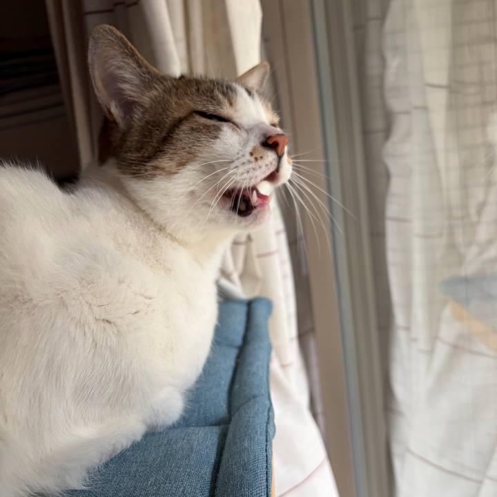 57a0b11b 1329 431a 931b a7daec2f4f22 1776230738852