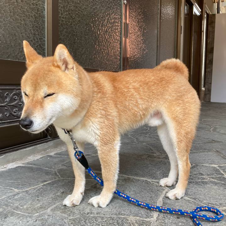 57a0e9fc efec 41e4 9986 c4591aa4786e 1649559827182