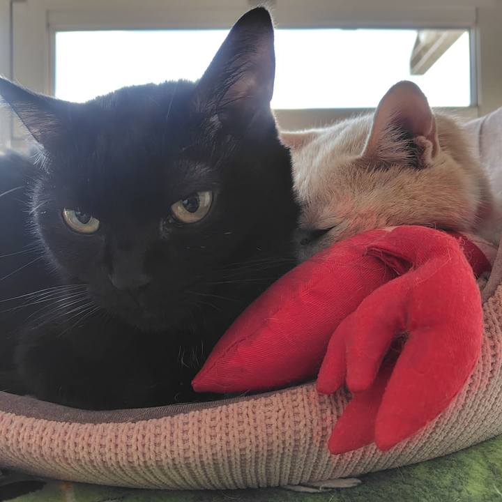 57a0f18c 3233 4138 b09a b4dd07b543b5 1730758596334