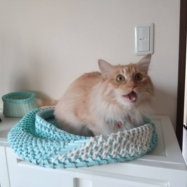 57a11981 b1c1 4209 abba 5361f45dc925 1652220145366