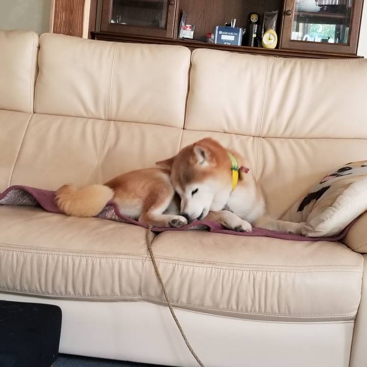 57a121ba 69fc 4710 8b60 e8d42ccdd7df 1691727047749