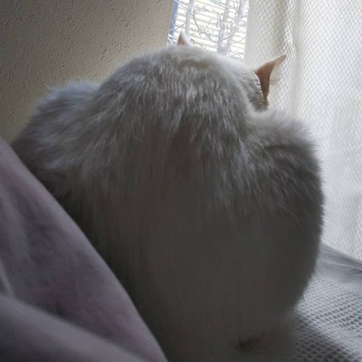 57a1408f 133e 4766 9770 c9f7447f8dbf 1636504871704