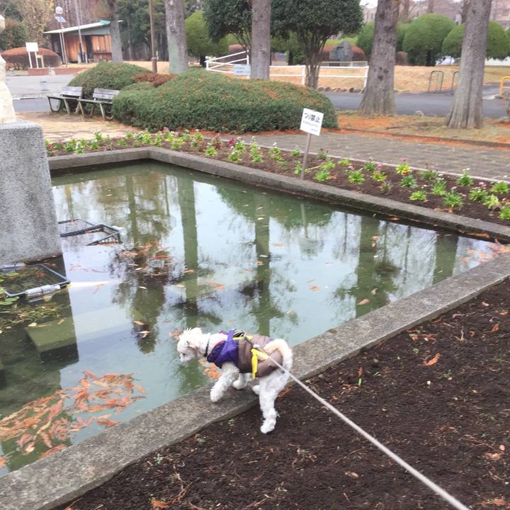 57a1bbad e10f 4aed b33a e00ab5e57711 1514713683616