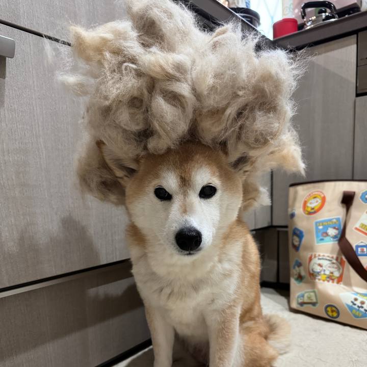 57a1c365 28db 4468 9fca 4c50dd912a1f 1741406985668