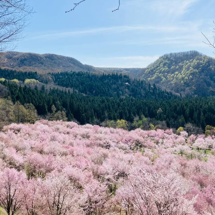 57a1db0f 3c48 43ff bda3 d8e939f7a021 1777189463869