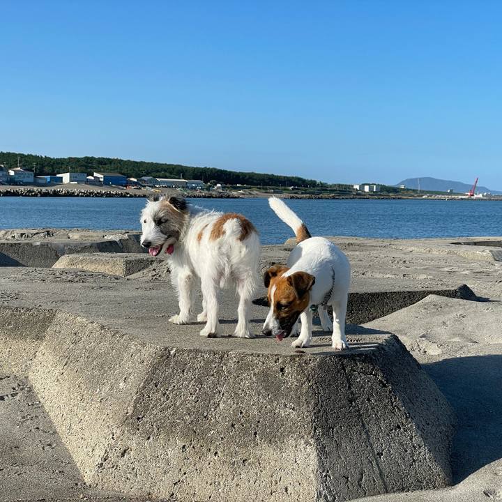 57a21a18 36aa 40ac b1ed eb95e9373af1 1631749959204