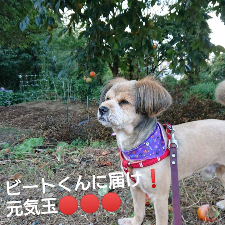 57a21b1d 1147 4883 8803 372eb7f4f88e 1570527658204