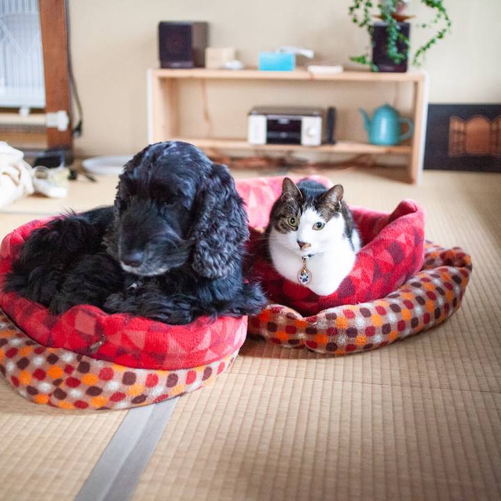 57a23ff2 d2e8 4bd5 9150 99537449c5c2 1587109683250