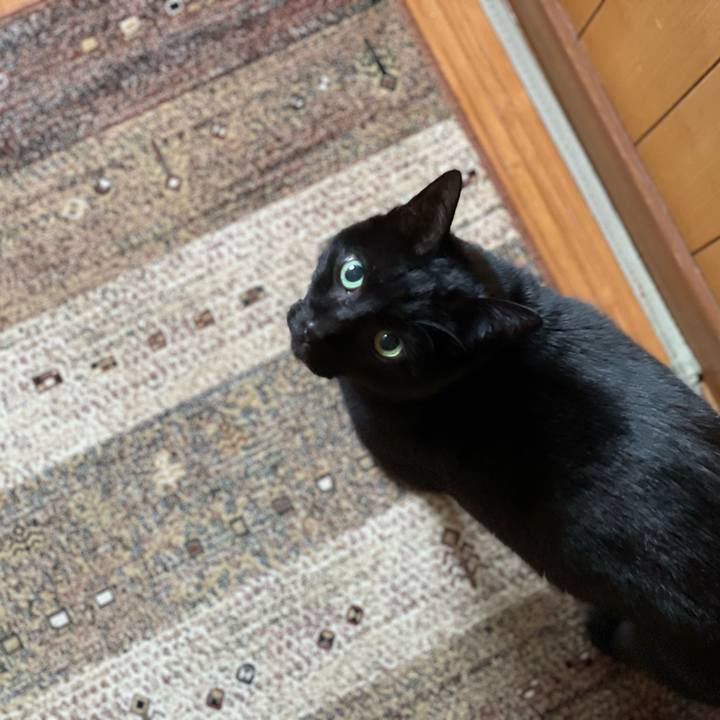 57a268c9 d4ac 4c27 9de5 e56a40be2571 1645234022588