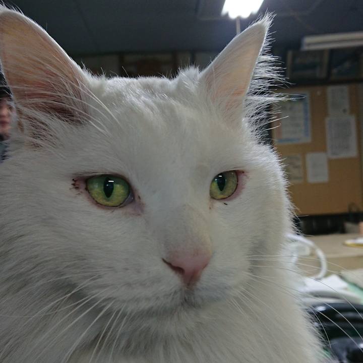 57a27664 9488 4d5e ba8e ff8b71fdfa6b 1520029305510