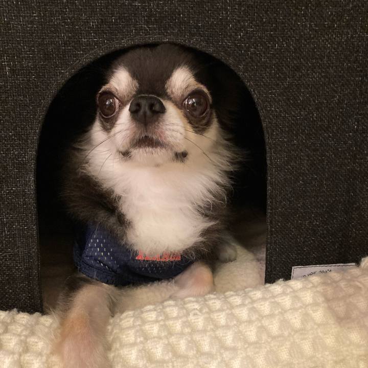 57a27ebc e874 4ff2 b16d 5d8fbe67d65c 1719762318644