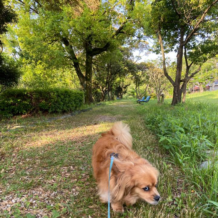 57a28bbf 59de 438c 92a5 4f9fe286169e 1591308017545