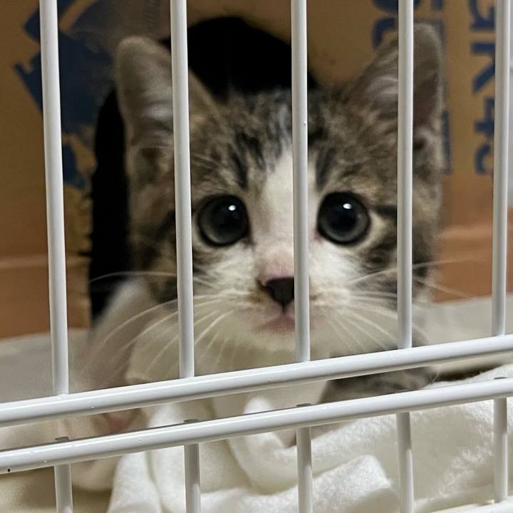 57a2db26 e45b 4474 abb7 3c786bbf80a3 1765193588865