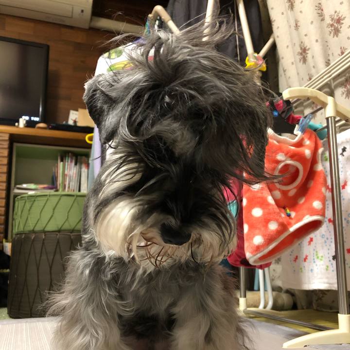 57a2facd 9a34 4e73 aca5 ed7ec2624005 1582284330292