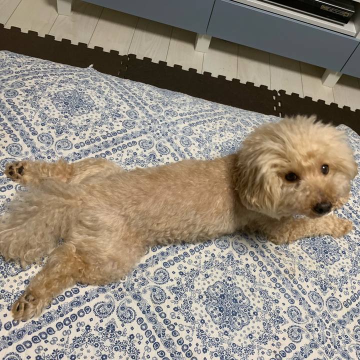 57a316a4 c445 4055 a383 dd13244cb976 1563713149656