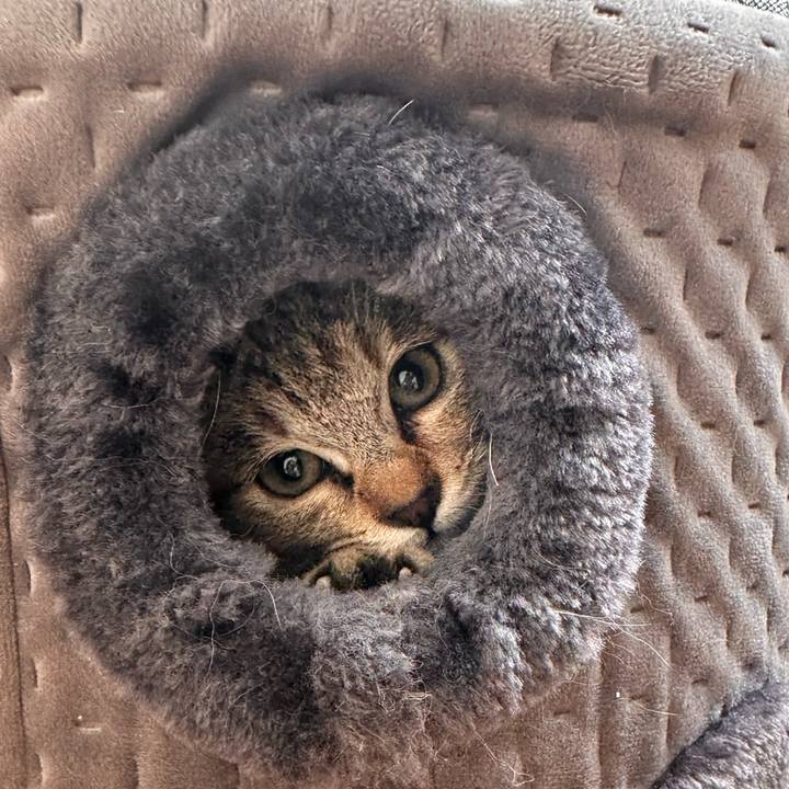 57a32750 3aa2 4cc2 b3fb c56c1639021c 1701169697927