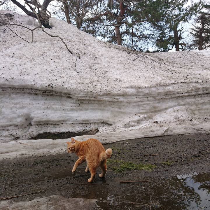 57a32f1c 065b 4612 853c a3d94a7f38f4 1646183329448