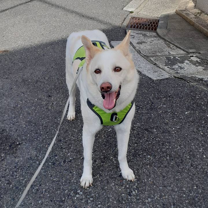 57a35085 e475 4e13 a690 3f8b96db71a7 1758590876769