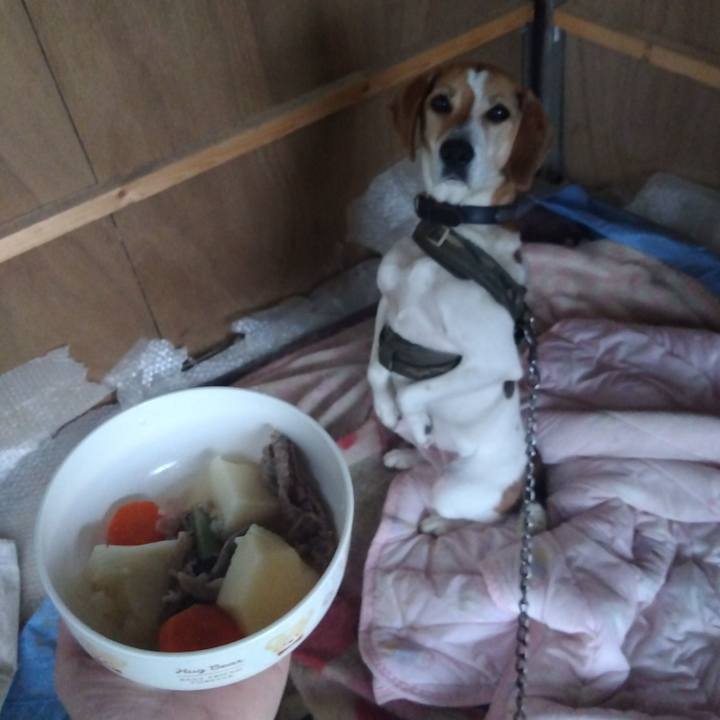 57a38cde 4d3a 4948 a769 afe633603ac0 1687439791196