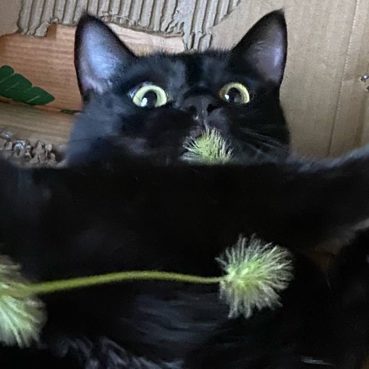 57a3a677 979f 4be5 bdd5 da4028390f8f 1633173858231