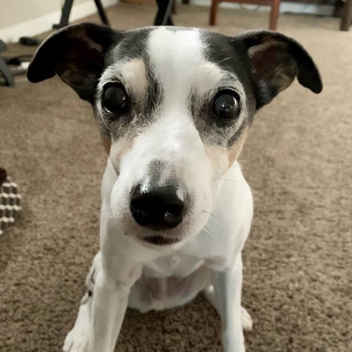 57a3bbf8 dd4e 48cb ad39 7bf796774340 1610233173945