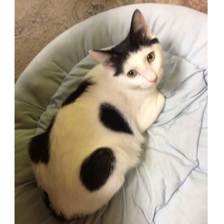 57a3bd5c c191 45ab b41f 9e4fbe179554 1537957962354