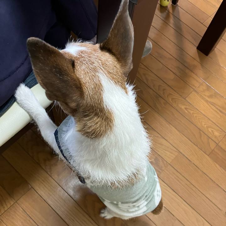 57a3d20b 3cff 4f4f aef5 c05d48400df6 1676165463523