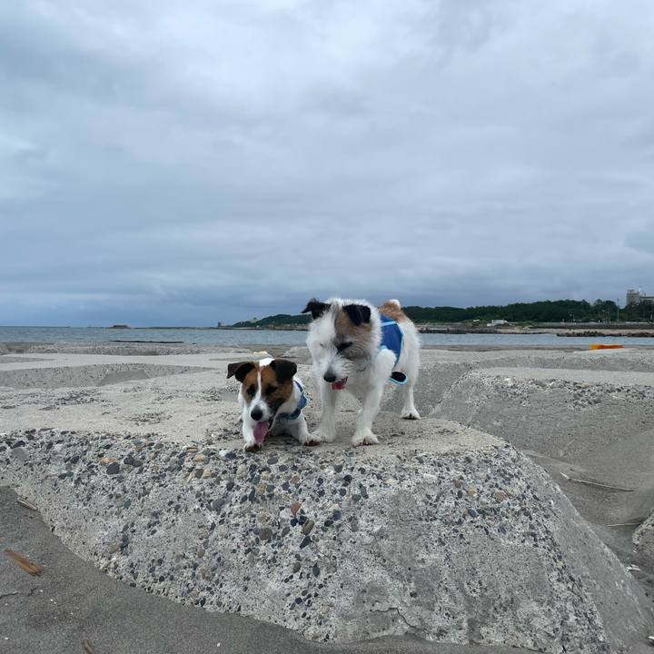 57a3d3c1 d671 4e36 bfa3 db8bcbbae671 1722986178736