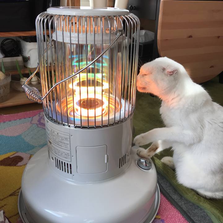 57a3d50c 4824 4b0a a331 0a65bca156a5 1517377946829