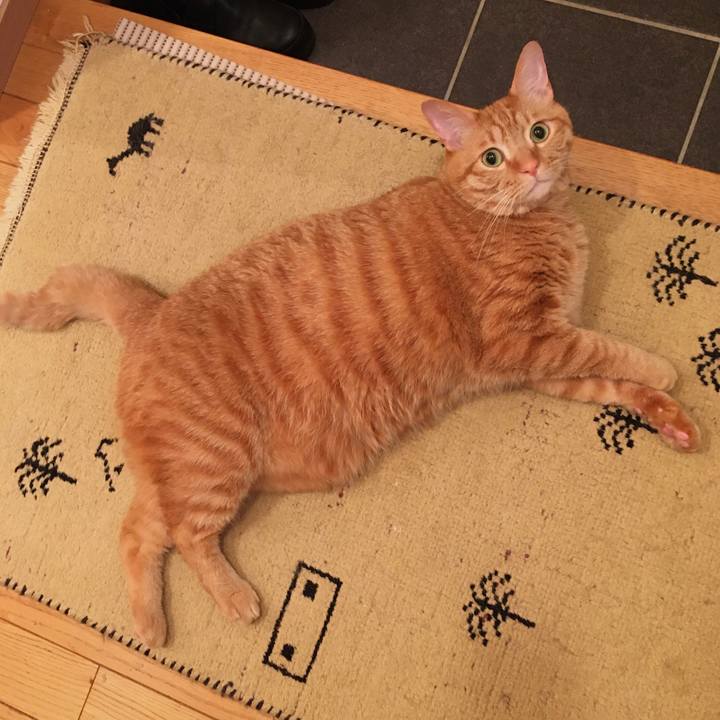 57a3d722 40bf 4e1d 8ef9 4784b6177b5b 1590839766207