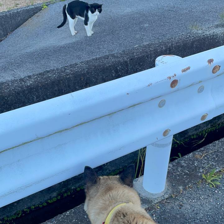 57a42195 e041 4849 9a3f 97f528ccaabb 1659097972424