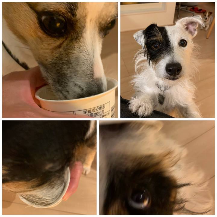 57a43013 6f42 411c b795 8058a2c5927c 1604581173855