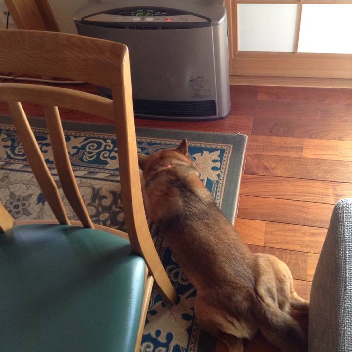 57a479b2 a21d 47a8 ad65 d42e8b71f5c7 1516849609558