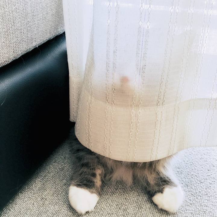 57a47bca e4d2 4ae4 8dbc f2cd4ae32105 1546146384696