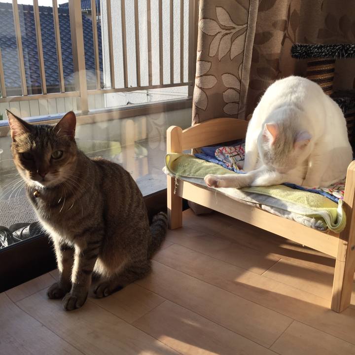 57a4a5f4 aae5 494d 93ae 94c825c06462 1541802312005