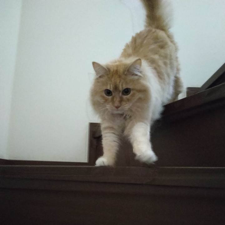 57a4f6ef 220c 4e1b ab18 a3a0fe106404 1684844112923