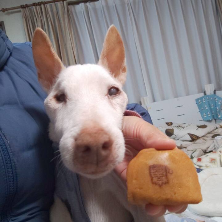 57a501af 8fe4 42af 8bda 7b22215ff62b 1608802006098