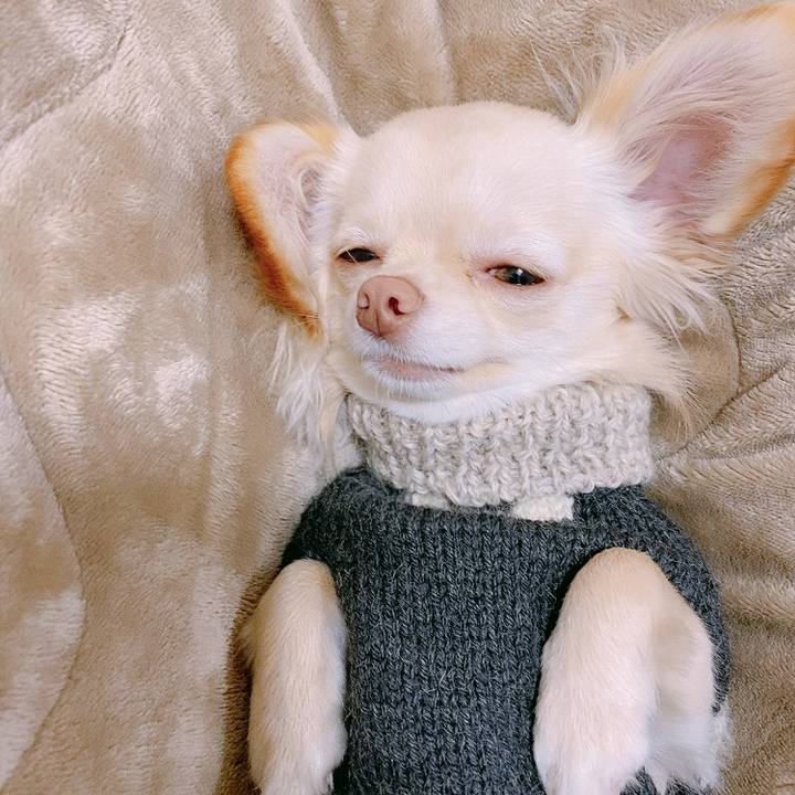 57a5169e 392e 4312 9a8e 719de94b06dd 1611277231818