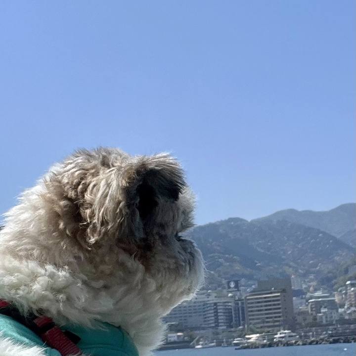 57a54d02 9aef 4d0f 93aa 1400c77ee3e9 1683198869007