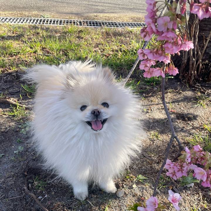 57a58735 05cb 49fc 998a d0692385a05b 1709433581367