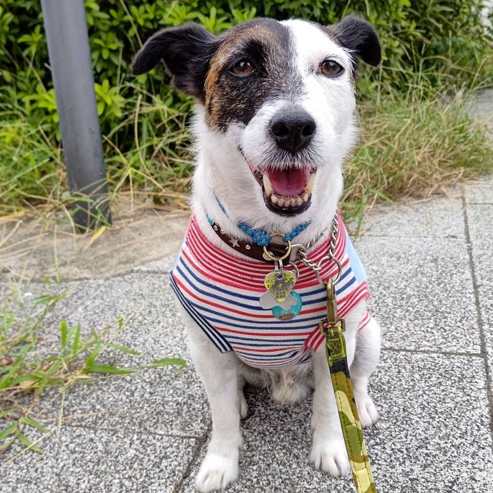 57a59144 3f6b 42ad 9387 bb2daaa19401 1663192923047