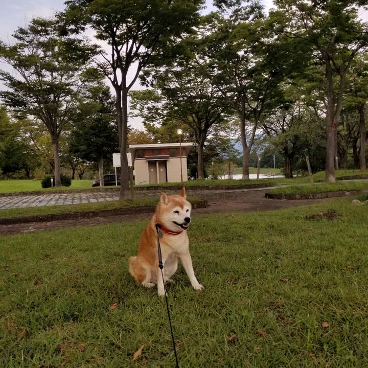 57a596ff c026 4f30 8e2c 48b900e24c09 1727164948668