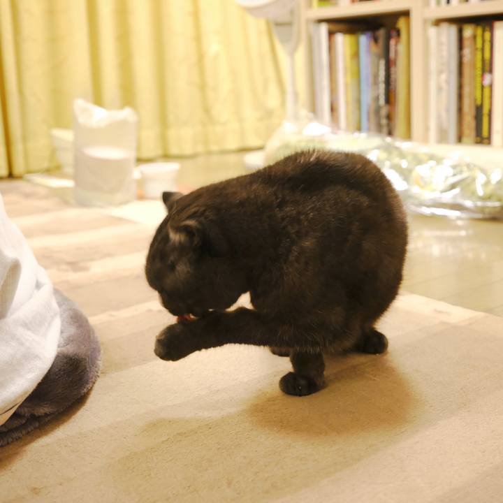 57a5c2e6 ea79 4b92 93fd 342280bf87e3 1642867037397