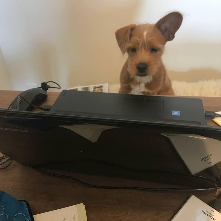 57a5c903 f9d9 40b1 af3c d15f0aaa6378 1525252553046