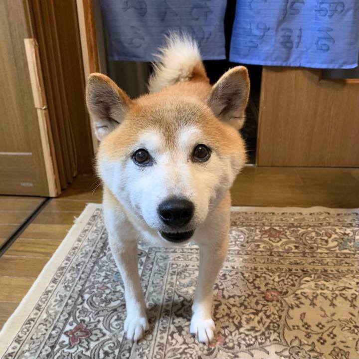 57a606c9 78cb 4010 bff0 412272436578 1687259146305