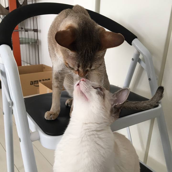 57a610fd deb1 4cb6 b7ff 32151b8fa318 1512789594138