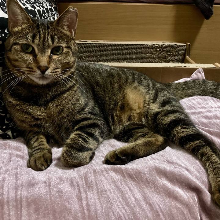 57a621b8 365f 48ec 9ec1 5387f22f60db 1632307597766