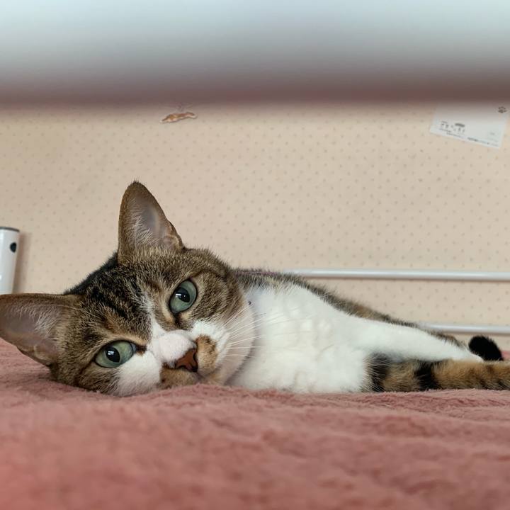 57a624ab 9d85 42c9 b362 c196480f48a9 1562394948877