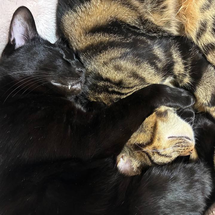 57a62d03 9df8 4697 a33d 6b0c10ef05ae 1768042092330